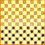 dames12x12srilankais